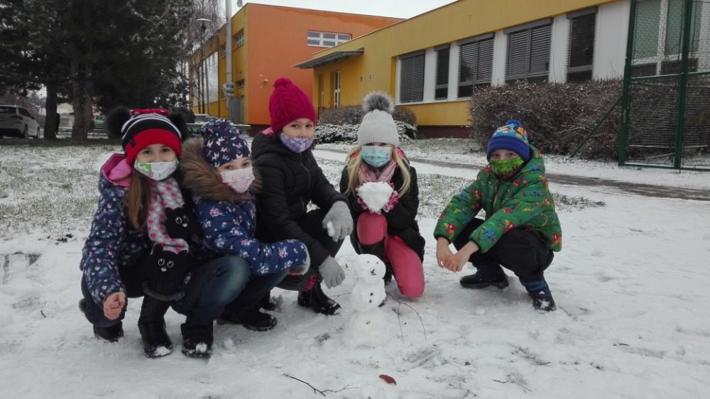 IMG_20201203_145629.jpg