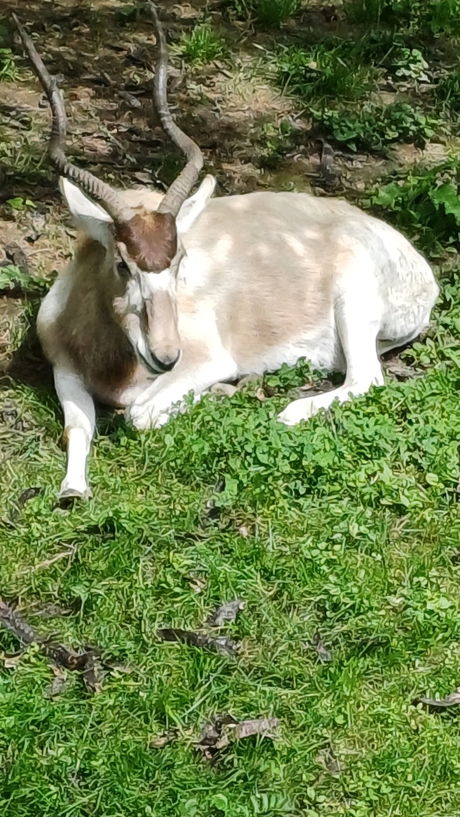20240523_103120.jpg