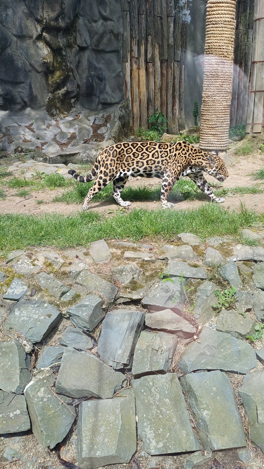 20240523_113431.jpg