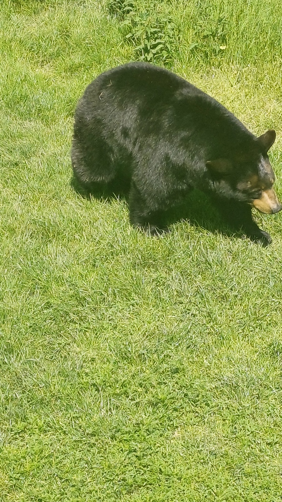 20240523_125206.jpg